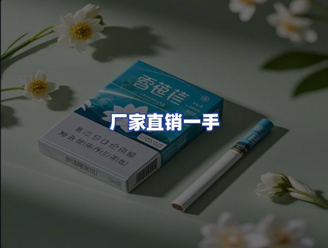 专业团队